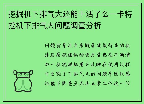 挖掘机下排气大还能干活了么—卡特挖机下排气大问题调查分析